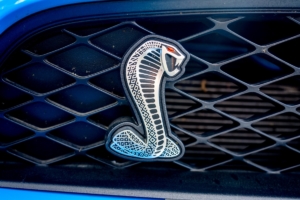 CLASSIC AMERICAN CARS - MUSCLE CARS - PHOTO SASA LUKIC DSC09337