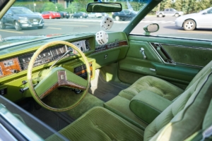 CLASSIC AMERICAN CARS - MUSCLE CARS - PHOTO SASA LUKIC DSC09351