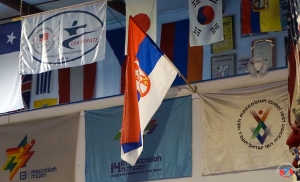 DSC03154 (1)