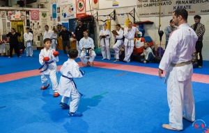 DSC03186 (1)