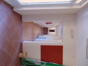 DSC00049