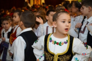 SOKO Folklore 2020