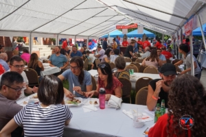 Taste of Serbia - Cikago Palmer sq. DSC07793