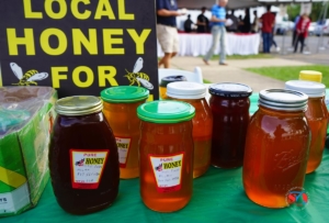 Taste of Serbia 2019 Lake Forest DSC06971