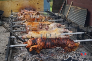 Taste of Serbia 2019 Lake Forest DSC07243