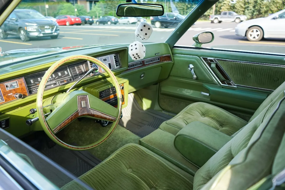 CLASSIC_AMERICAN_CARS_-_MUSCLE_CARS_-_PHOTO_SASA_LUKIC_DSC09351