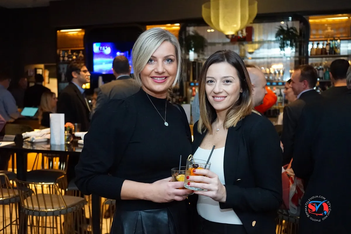 Serbian_American_professional_networking_SAPN_linkedIn_group_DSC00748