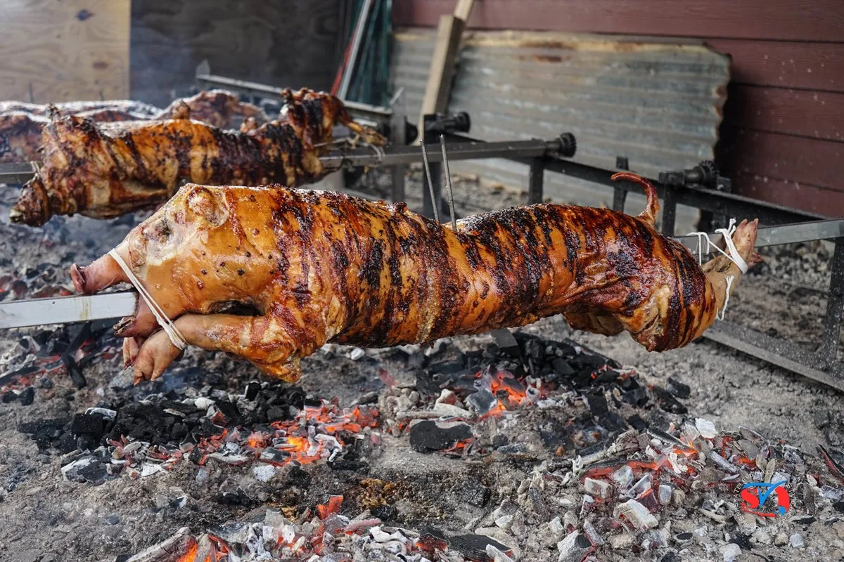 Taste_of_Serbia_2019_Lake_Forest_DSC06813