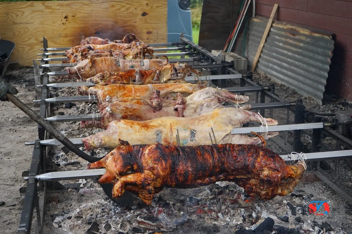 Taste_of_Serbia_2019_Lake_Forest_DSC07243